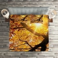 thumbnail image 2 of Ambesonne Nature Quilted Coverlet 3 Pcs, Sun in October Harvest, Queen Size, Orange, 2 of 2