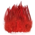 thumbnail image 1 of 100 Pcs Plumes pour Artisanat, 1 of 1