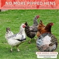 thumbnail image 5 of UOSIA 2Pcs Chicken Saddles for hens, Chicken Apron Back Protector for Hens, 5 of 7