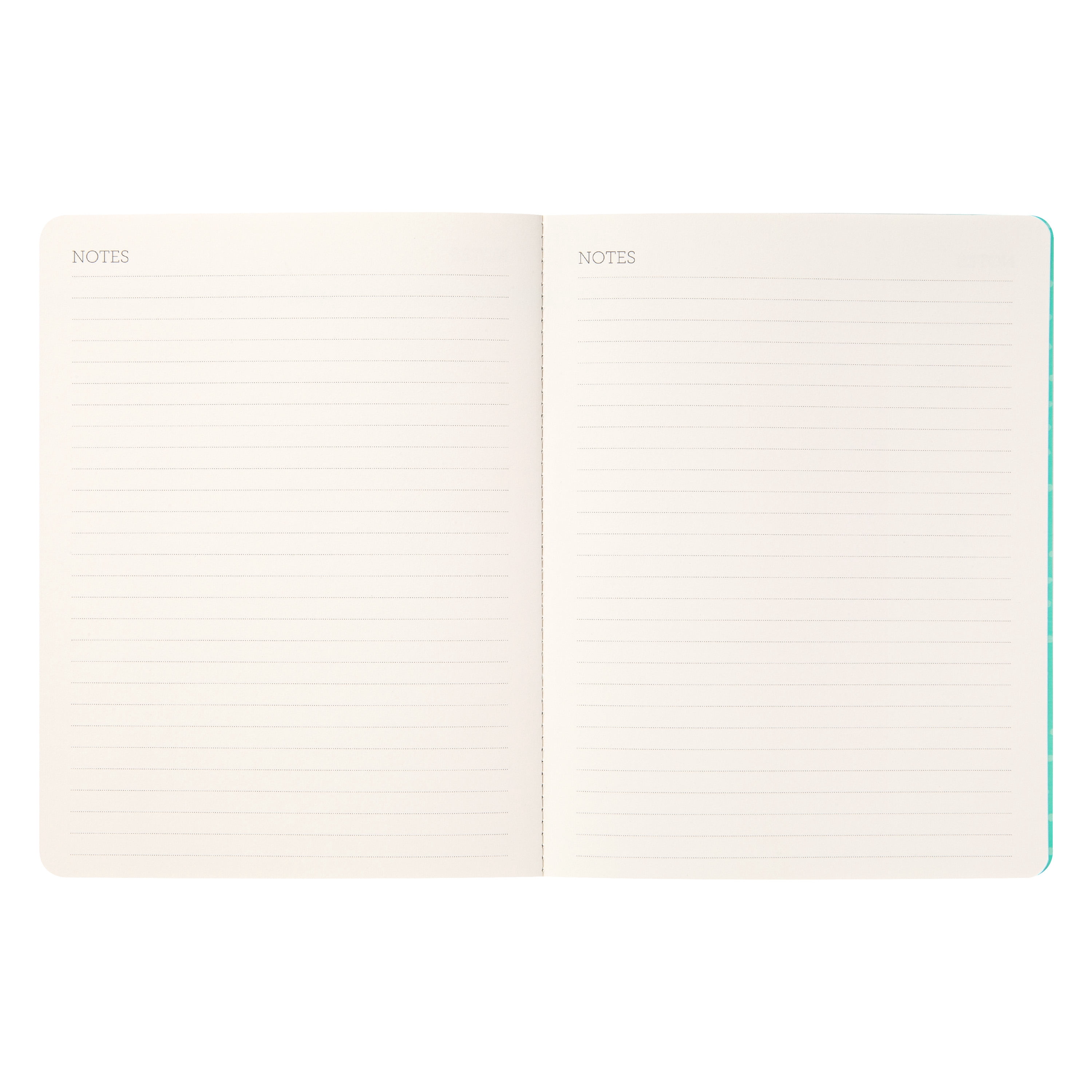 2024 - 2025 Mintgreen MW Flexible Monthly Mushroom Planner