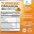 thumbnail image 3 of Turmeric Curcumin Supplement Gummies - 95% Curcuminoids with Turmeric Ginger, Black Pepper for Best Absorption, Nature's Vegan Joint Support, Non-GMO, Gluten Free, Tasty Cinnamon Flavor - 120 Gummies, 3 of 10