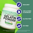 Premium Gelatin Powder XL. GrassFed Beef Collagen Protein Supplement