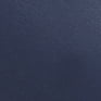 Navy/White
