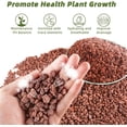 thumbnail image 2 of NOGIS 0.77lb Red Lava Rocks for Plants, Volcanic Rock Horticultural Lava Rock Soil for Landscaping Plants Drainage, Small Lava Rock Gravel for Succulents, Bonsai, Vase Fillers, Terrarium Plants, 2 of 6
