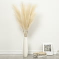 thumbnail image 1 of 4 Pcs Artificial Pampas Grass, 43 inch Fake Pampas Grass Soft Fluffy Dry Flower Decor, 1 of 9