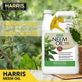 thumbnail image 6 of HARRIS Neem Oil Spray, 128 oz, with Cold Pressed Formula for Leaf Shine, 6 of 8