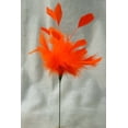 thumbnail image 4 of Bag Of 6, 14 Inch Fuzzy Feather Pick Great For Adding Bright Color To Arrangements, Bouquets & Décor - Mardi Gras, 4 of 5