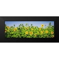 thumbnail image 2 of Hausenflock, Alan 18x9 Black Modern Framed Museum Art Print Titled - Sunny Sunflowers II, 2 of 5