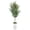 6FT, variant on Realistic Artificial Olive Tree – Lifelike Faux Plant for Home Decor, Decorative White Tall Pot, Easy Care, Adds Greenery – 5FT, White Tall Pot