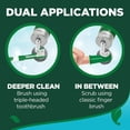 Vet’s Best Dog Toothbrush and Enzymatic Toothpaste Set (2 Pack ...