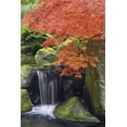 thumbnail image 2 of Paulson, Don 17x24 White Modern Wood Framed Museum Art Print Titled - Oregon, Portland Waterfall and Japanese maple, 2 of 4