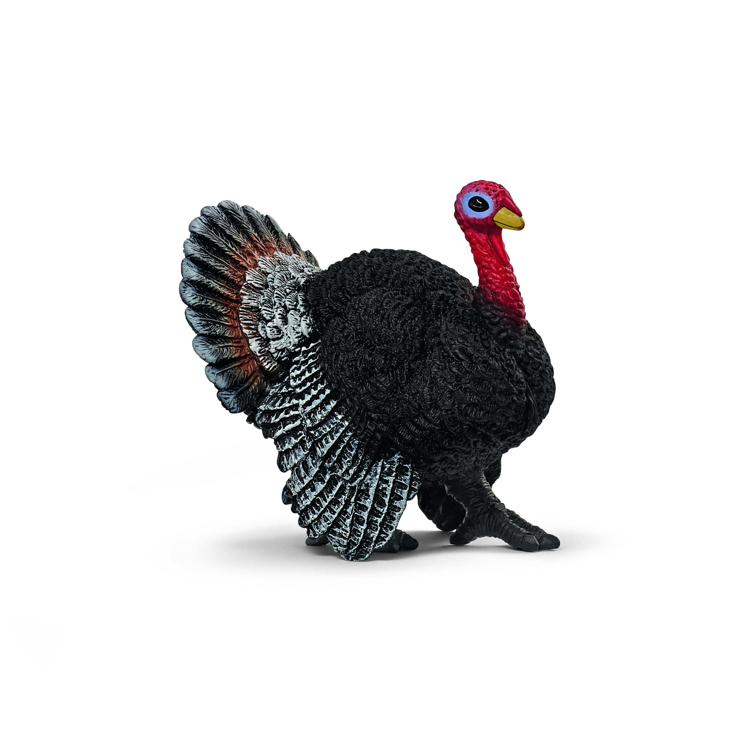 Schleich, Wildlife, Turkey Toy Figurine