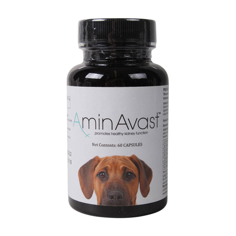 AminAvast Kidney Support for Dogs (60 capsules)