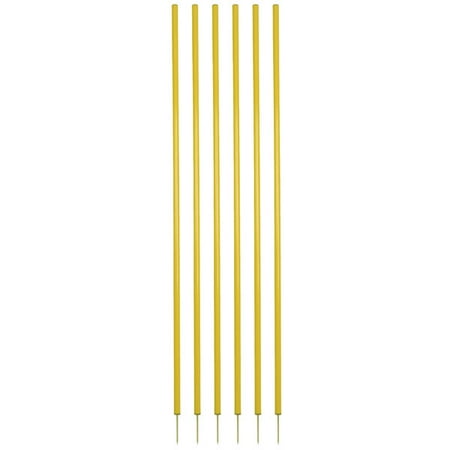 Yellow Coaching Stick Set
