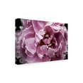 thumbnail image 2 of Irena Orlov 'Pink Peony Passion III' Canvas Art, 2 of 3