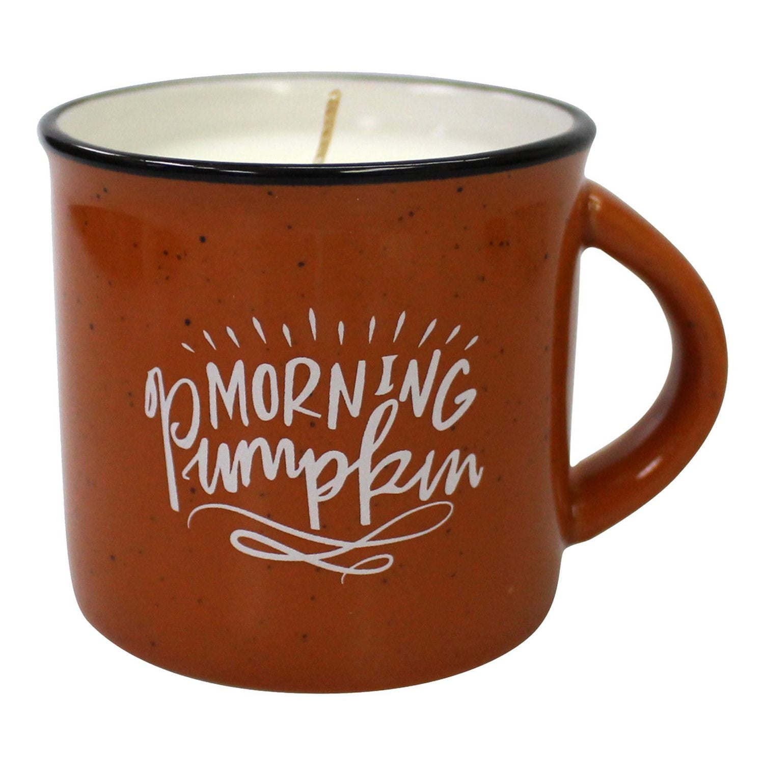 4.5oz PUMPKIN SPICE Fragranced Candle