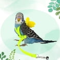 thumbnail image 1 of SPRING PARK Flexible Parrot Harness Leash Outdoor Training Traction Rope with Angel Wing, 1 of 7