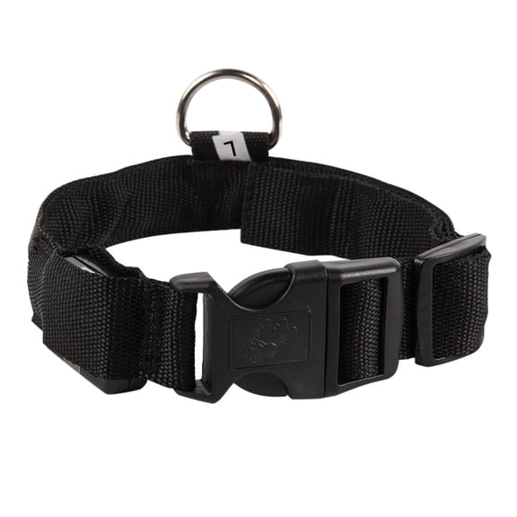 Tvtnvo Led Dog Collar Usb Rechargeable Lighted Safety Collar High Visibility Waterproof Adjustable with Three Light Modes Rustproof D Ring for Night Walking and Outdoor Black 16.1in