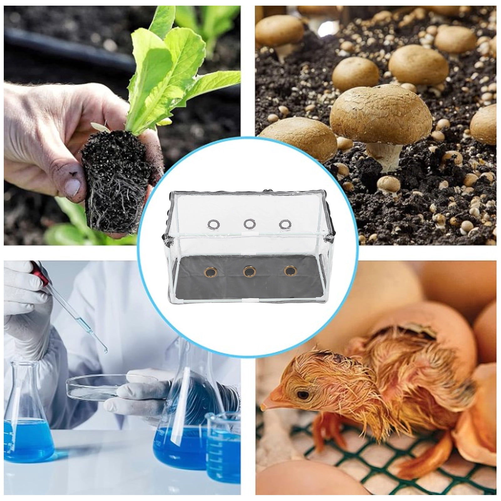YAHHU Still Air Box Mushroom Mycology Fume Hood Propagation Station PVC Clear Mushroom Grow Tent Kit Planting Bag Set for Home Scientists and Plant Enthusiasts (11.81 inches / 30 cm)