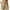 Khaki, variant on FAIWAD Shorts for Women Drawstring Elastic High Waist Casual Cotton Linen Shorts Summer Plus Size Wide Leg Pants with Pockets