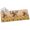 Dark Orange Red Orange, variant on Area Rugs 2x3,Squirrel Sunflower Fall Thanksgiving Farm Floral Non Slip Washable Rug Indoor Carpet Soft Floor Rugs for Home Living Room Bedroom Dining Room Office