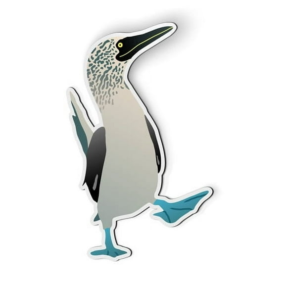 Blue Footed Booby Bird Galapagos - 5" Magnet for Car Locker Refrigerator