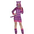 thumbnail image 1 of Fiestas Guirca Womens Tabby Cat Costume Set, 1 of 4