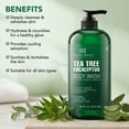 thumbnail image 2 of Botanic Hearth Eucalyptus & Tea Tree Body Wash - 16 fl oz - Helps Soothe Skin, Refreshing and Invigorating, Cleansing Shower Gel for Men and Women - Sulfate Free, Paraben Free, 2 of 12