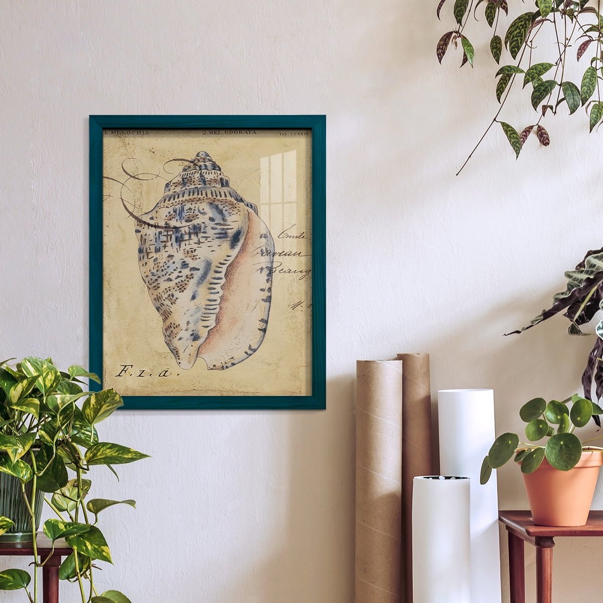 Seashell Ephemera I - Framed Print w/glass - Ocean Blue