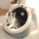 thumbnail image 1 of Hamaca para gatos Cama elevada de madera Cama para gatos Extraíble Lavable Cama para dormir para mascotas Cama para gatos transpirable Apta para gatos y cachorros en interiores y exteriores, 1 of 5