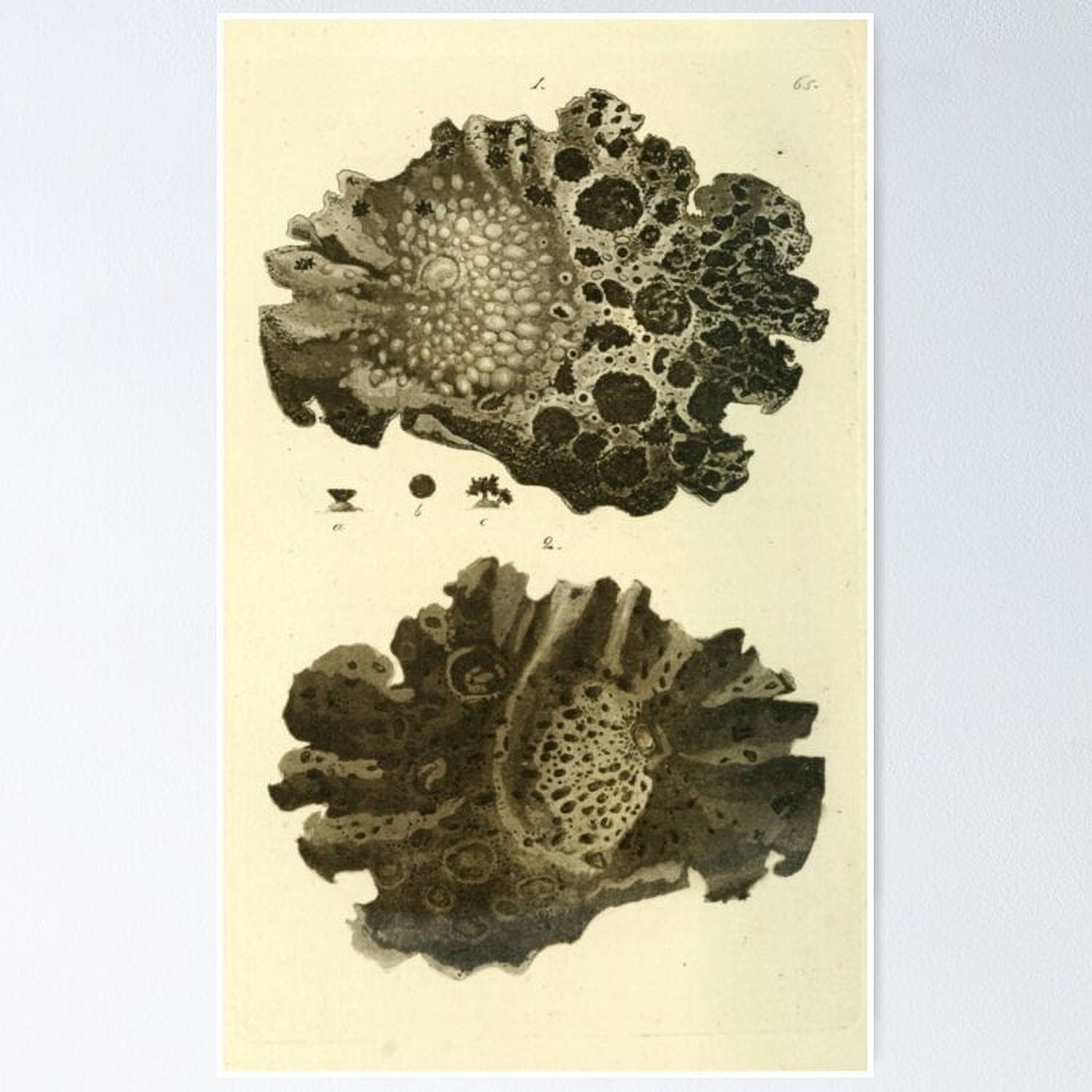 Poster Swedish Lichen Vintage Wall Arttrendy Retro Print Positive Quote Poster Room Decor Wall Art, Poster Only