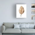 thumbnail image 3 of Danhui Nai 'Fallen Leaf II' Canvas Art, 3 of 4