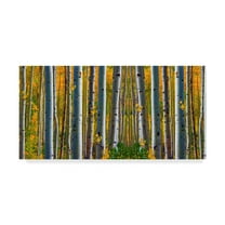 Trademark Fine Art 'Nature Collection 21' Canvas Art by Ata Alishahi