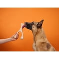 thumbnail image 4 of BetterBone Hard Classic, Large, 4 of 4