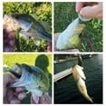 thumbnail image 5 of Soft Lures Simulation Spinner Bait 12cm/10.2g 15cm/18.5g Sea Fishing Fake Lure Bait Fishing Tackle, 5 of 7