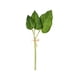thumbnail image 1 of Billuyoard Hojas de palma tropical cómodas al tacto: no tóxicas y reutilizables Urable y reutilizable PU ampliamente Decoración Asarum máximo, 1 of 6