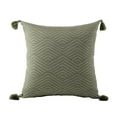 thumbnail image 4 of Distressed Toss Cushion 2-Pack, 4 of 6
