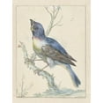 thumbnail image 2 of Jan Weenix 15x18 Black Ornate Wood Framed Double Matted Museum Art Print Titled - Lazuli Bunting (C. 1670 - C. 1719), 2 of 5