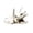White, variant on Dinosaur Skull Aquarium Decoration Fish Tank Decor Hideaway for Fish Natural Look Fun Underwater Environment Cave Ornament for Reptile Tank Terrarium
