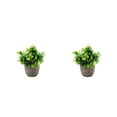 thumbnail image 3 of kurtrusly Realistic Artificial Succulent Low Maintenance Elegant Easy To Clean Artificial Money Tree In Pot new blue babysbreath 2Set, 3 of 6