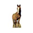 thumbnail image 3 of DOBA Kids Toy 29117314 Cheval, 3 of 4