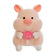 thumbnail image 5 of Brainybuger The P-ink Cute Pig Stuffed Animated Plush Soft Toy for Kids Ages 2 to 4 for Girls Boys Baby Birthday Gift, 5 of 6