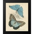 thumbnail image 2 of Wild Apple Portfolio 15x18 Black Modern Framed Museum Art Print Titled - Assortment Butterflies I, 2 of 5