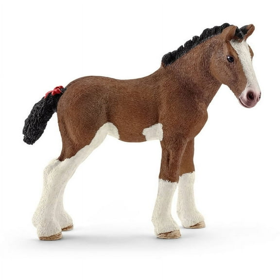 Clydesdale Foal