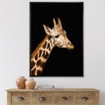 thumbnail image 2 of Designart 'Close Up Portrait Of A Giraffe On Black IV' Farmhouse Framed Canvas Wall Art Print, 2 of 5