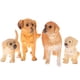 thumbnail image 2 of Figuras de animales de animales pequeños 4 Piezas Simulación Perro De Juguete Modelo Animal Conjunto Adornos Para Juguete Magideal Figuras de animales de animales pequeños, 2 of 7