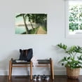 thumbnail image 3 of Art.com Palm Beach, Florida - View of the Walk Along Lake Worth Stretched Canvas Print Wall Art by Lantern Press, 36" x 24", 3 of 4