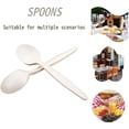 thumbnail image 5 of Watson DIstributing Disposable Soup Spoon Tpla White 6" 1000/Case, 5 of 5