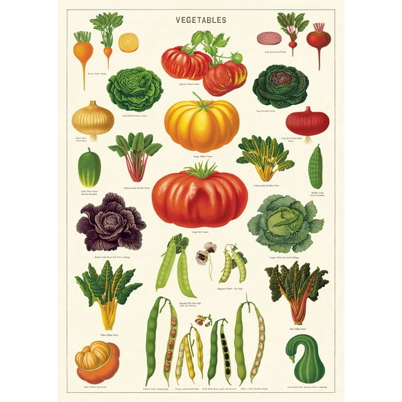 Cavallini Affiche Décorative Wrap Jardin Potager 20 x 28 Pouces Papier d'Archive Italien (WRAPVG)