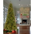 thumbnail image 2 of National Tree Company 7′ Mixed Pine Tree, 2 of 2
